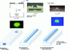 Figure 13 - Different shapes of confined waveguides