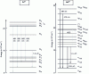 Figure 5 - Energy level diagrams of Pr3+ and Nd3+ ions in fluoride glasses. (*) 2D3/2, 2G9/2, 4G11/2 and 2K15/2 levels of Nd3+