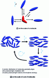 Figure 7 - Photo-orientation of azobenzene molecules upon irradiation with polarized light (image courtesy of [9])