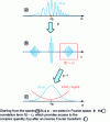 Figure 12 - Fourier transform spectral interferometry (FTSI)