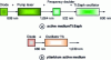 Figure 16 - Schematic diagram of Ti:Saph and ytterbium laser technologies