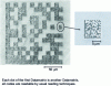 Figure 25 - Datamatrix produced on stainless steel using a nano-machining technique (Impulsion, France)