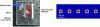 Figure 31 - Multi-plane light conversion (MPLC) technique for spatial beam shaping [40].