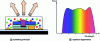 Figure 16 - Illustration of a true white LED and its theoretical spectrum