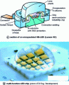 Figure 7 - Encapsulation