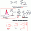 Figure 8 - Examples of "host matrix/red phosphorescent dopant" pairs