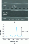 Figure 13 - (a ) SEM photograph of a longitudinal section of a Bragg grating, (b ) emission spectrum of a DFB laser.