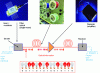 Figure 2 - Schematic breakdown of an optical transmission system (photos provided by Alcatel)