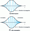 Figure 13 - Impact of phase self-modulation on a pulse (case of an ideal non-dispersive fiber)