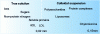 Figure 5 - Colloidal solutions