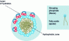 Figure 6 - Notion of micelles