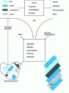 Figure 9 - Diagram of the development of new food products, according to 