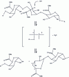 Figure 10 - Pectin beta elimination reaction