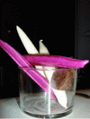 Figure 4 - "Wind crystals" (with lemon and blackcurrant) served in his Paris restaurant by French chef Pierre Gagnaire