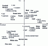 Figure 11 - Expectations linked to situations of use, and perception of beverage attributes, according to Aurier 