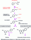 Figure 3 - Resveratrol synthesis pathway