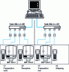 Figure 1 - Diagram of the current traceability system in use