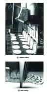 Figure 11 - Ultrasonic cutting application example (doc. Mecamatic)