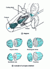 Figure 6 - Machine with cannon cutting block. Model VSC - Urschel