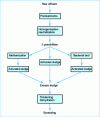 Figure 15 - Biological effluent treatment systems for the dairy industry