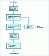 Figure 9 - Schematic diagram of Prolainat's aerated lagoons