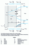 Figure 1 - Species A and heat transfer potential profiles across a solid-fluid interface