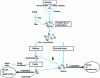 Figure 11 - Agglomeration and coating mechanisms (according to [22])