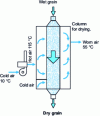 Figure 5 - Schematic diagram of a conventional grain dryer