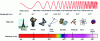 Figure 1 - Electromagnetic spectrum