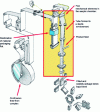 Figure 20 - Tetra Pak® multilayer complex material and packaging machine (source: Tetra Pak)