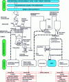 Figure 1 - Brewing process and co-product treatment