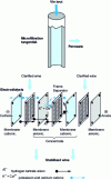 Figure 3 - Crossflow microfiltration-electrodialysis coupling