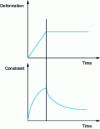 Figure 16 - Evolution of strain and stress in a relaxation experiment