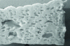 Figure 6 - Cross-section of a coliform-contaminated soft cheese