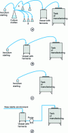 Figure 3 - Different seeding methods