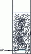 Figure 3 - Bubble column