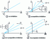 Figure 6 - Kinetics of an enzymatic reaction