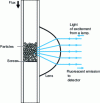 Figure 11 - Schematic representation of a particle-based immunosensor for the quantification of Staphylococcus aureus enterotoxin B (after Strachan et al. 1997). [40]