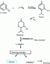 Figure 7 - Diagram of the chemical synthesis of l-menthol
