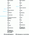 Figure 6 - Carrageenan production process