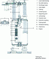 Figure 7 - Cross-section of a planetary gearbox with shaft (Bühler document)