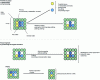 Figure 1 - Schematic representation of the different technological routes that can be used to transform agricultural raw materials while preserving their initial structure.