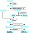 Figure 6 - Technological diagram for skimmed milk powder produced by combining microfiltration and ultrafiltration, according to [33]