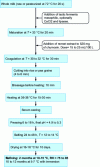 Figure 4 - Manchego manufacturing technology