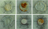 Figure 14 - Examples of spreading and browning capacities obtained from various analogous cheeses heated to 250°C / 5 min in a ventilated oven