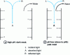 Figure 13 - Relationship between structure and perceived color