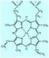 Figure 14 - Heme diagram 