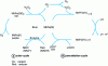 Figure 17 - Joint cycles of meat color changes and peroxide formation 