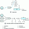 Figure 4 - Production line diagrams (examples)