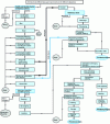 Figure 2 - General production diagram